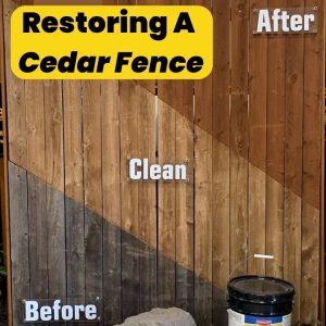 restoring a cedar fence