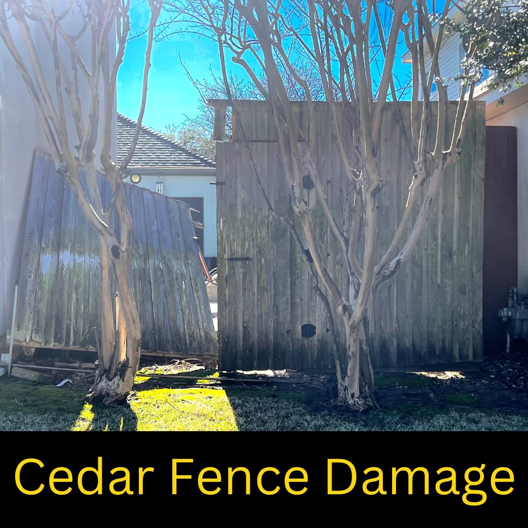 Restoring a cedar fence