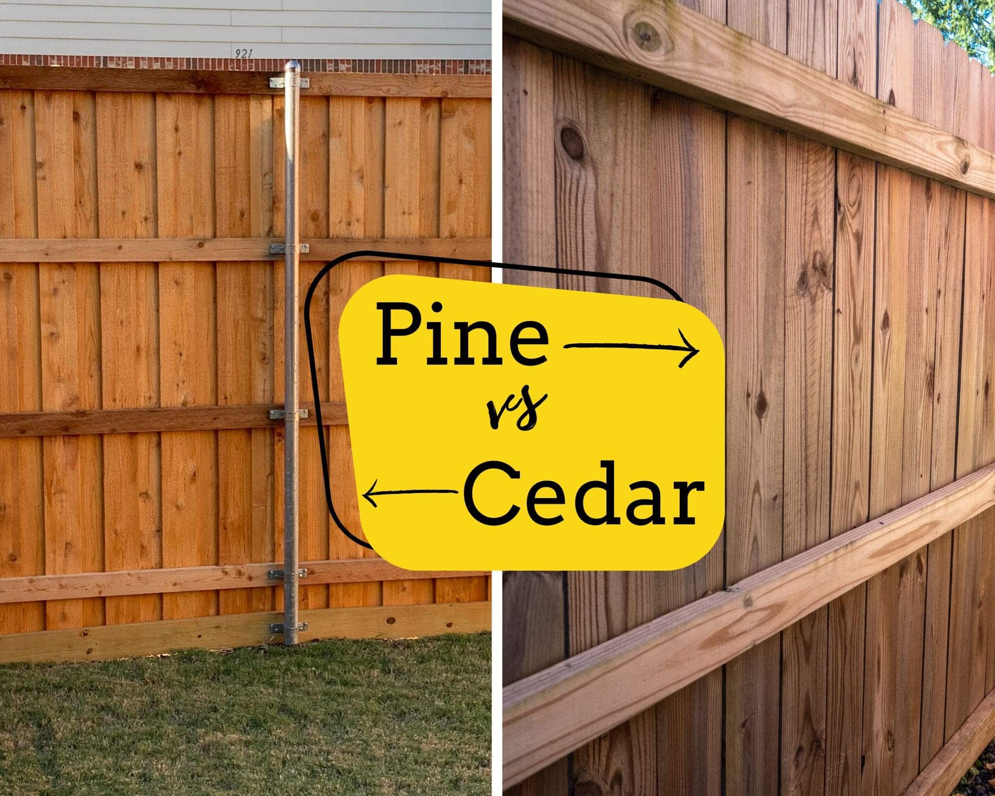 Pine vs Cedar Fence in Allen TX