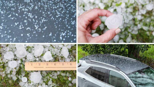 Hail Damage - Hailstones