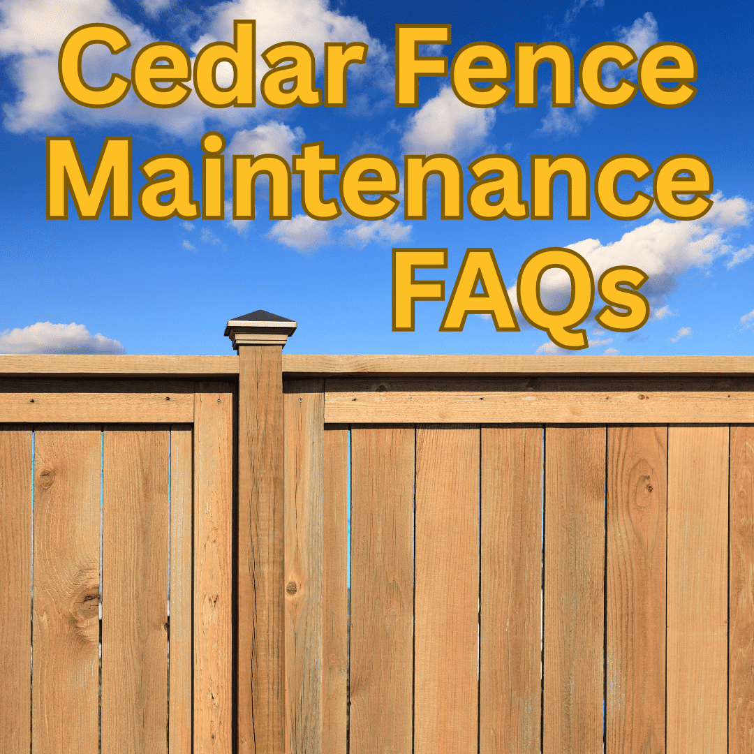 Cedar Fence Maintenance FAQs