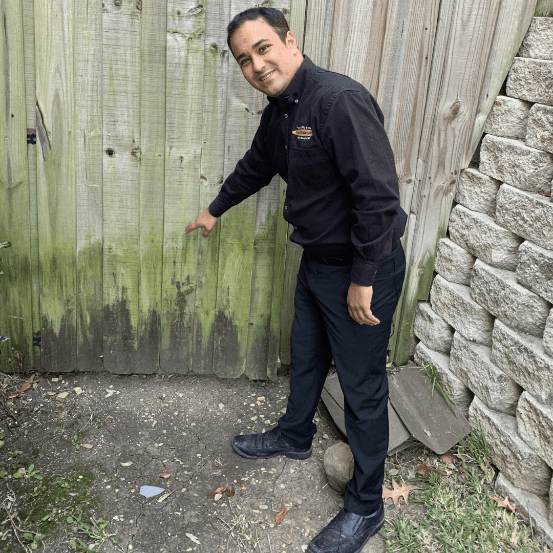 Cedar Fence Maintenance Mold and Mildew