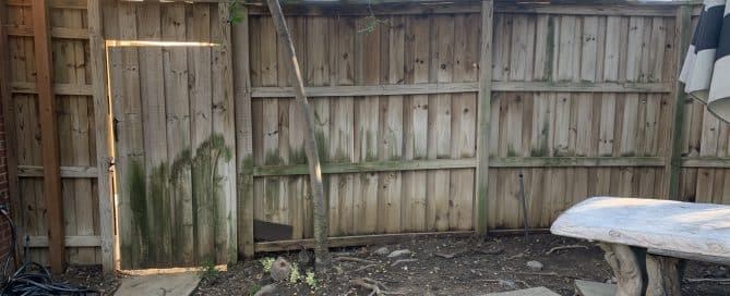 water damage on fence 2
