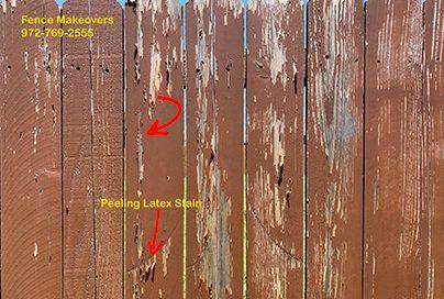 Peeling Latex Stain 1