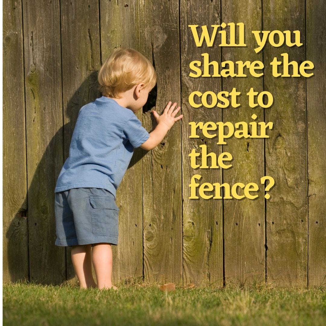 Who Pays For The Fence Repairs • Fence Makeovers 2024