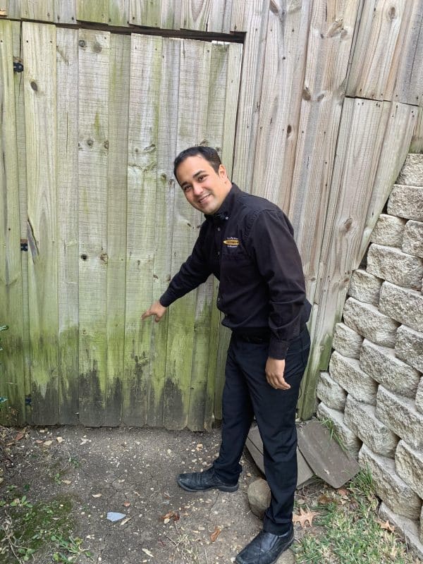 How To Prep A Fence For Staining • Fence Makeovers 2024