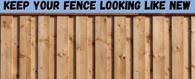 3 ways to keep your fence looking like new