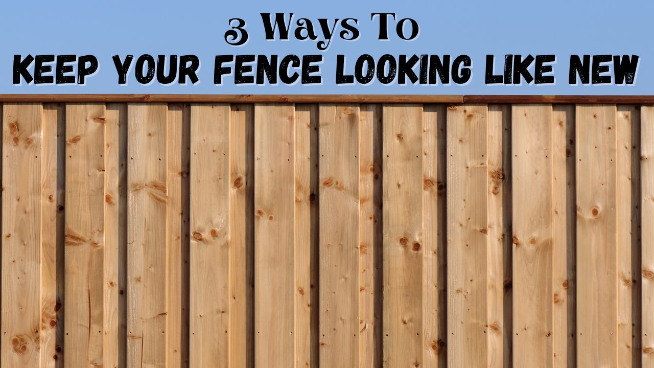 3 Ways To Keep Your Fence Looking New • 2023