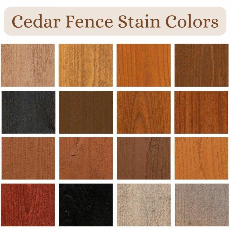 Cedar Fence Stain • Fence Makeovers 2024