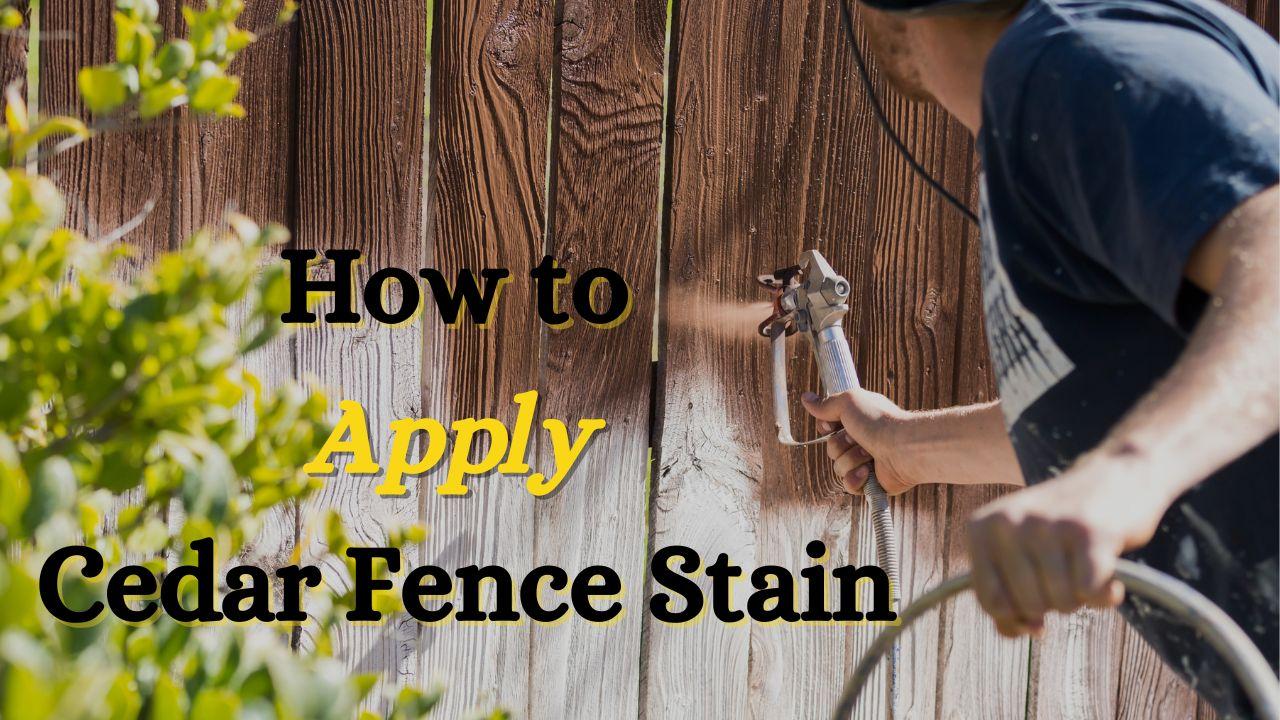 Cedar Fence Stain • Fence Makeovers 2024