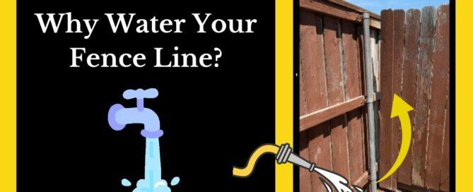Water Your Fence Line in North Dallas