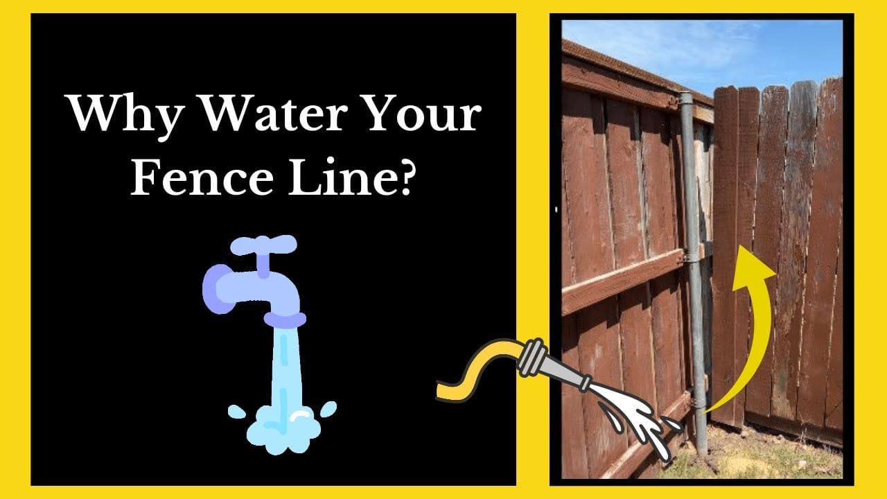 Water Your Fence Line in North Dallas