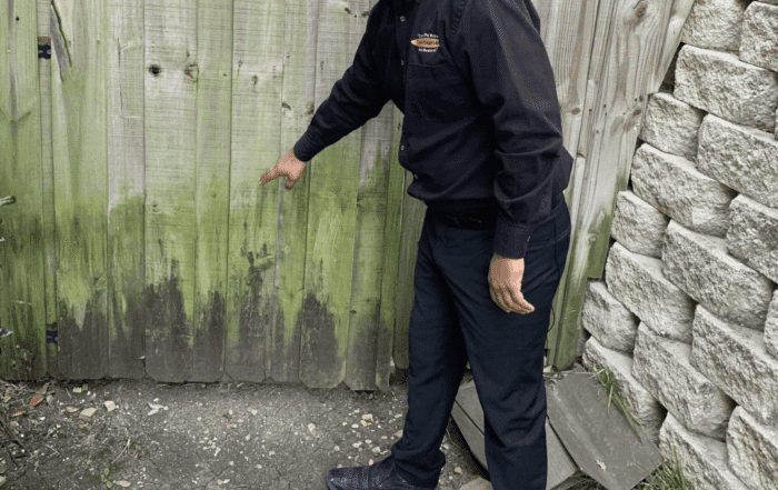 Cedar Fence Maintenance Mold and Mildew