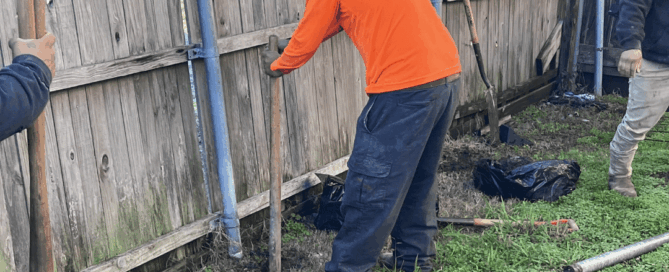 Cedar Fence Maintenance Repairs