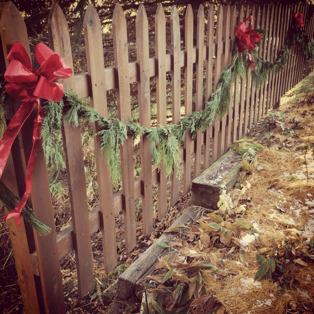 Cedar Fence Restoration 2