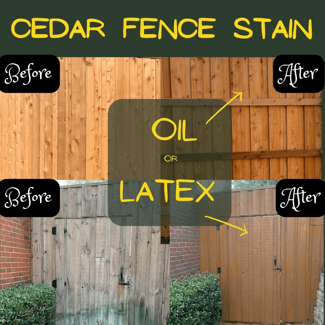 Cedar Fence Restoration 4