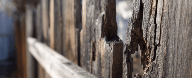 Fence Repair in Wylie (1)