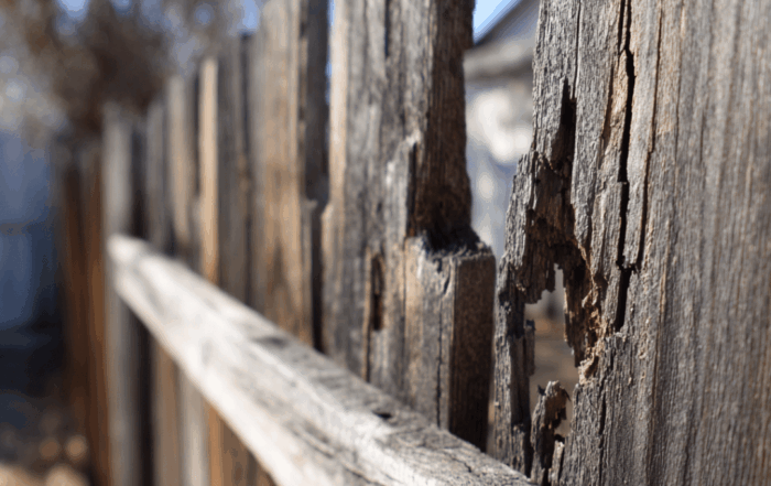Fence Repair in Wylie (1)
