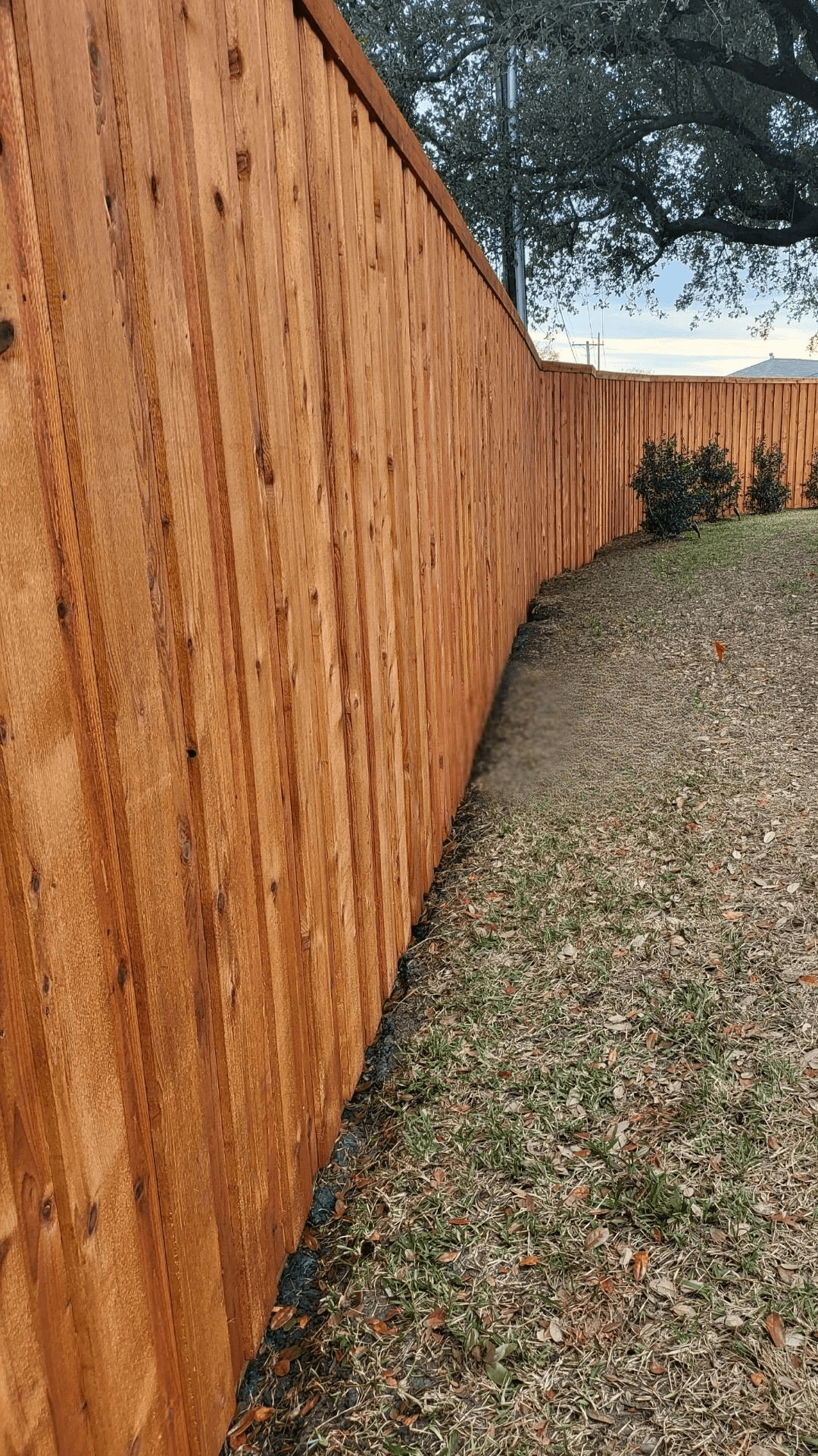 Winter Fence Maintenance 1