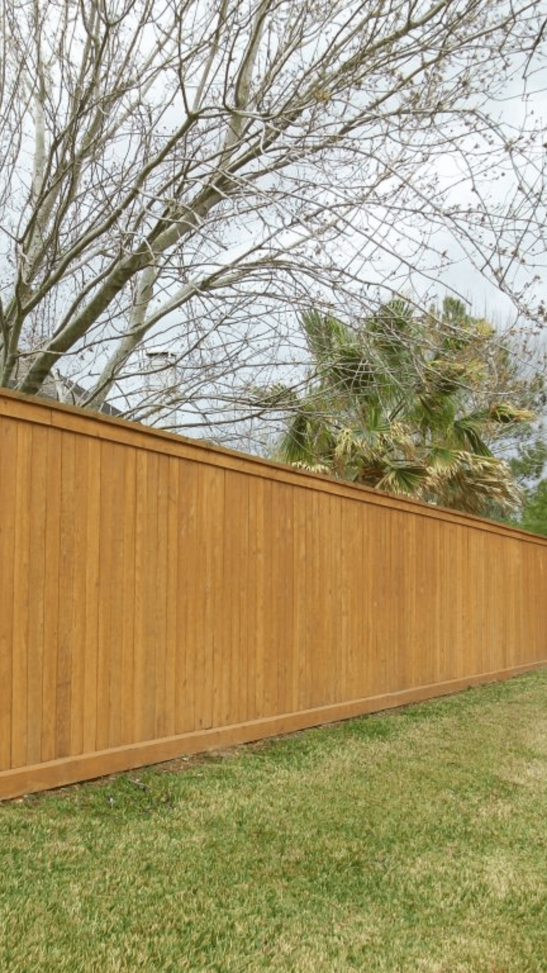 Winter Fence Maintenance 2